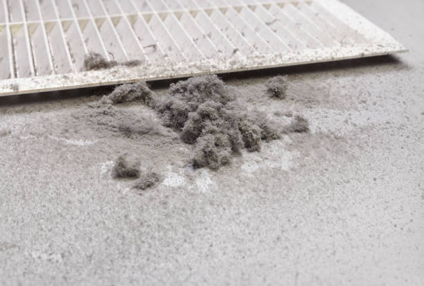 Best Residential Air Duct Cleaning  in Knik Fairview, AK